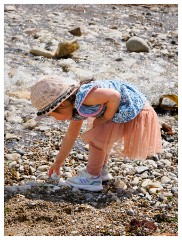 144 Dorset   May and June 2023  Lulworth Cove