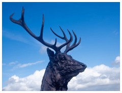 008 Helmingham Hall  Royal Stag Sculpture by Holly Hickmore