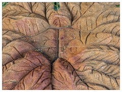 010 Helmingham Hall  Gunnera Leaf Sculpture by Alan Mackenzie