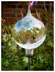 012 Helmingham Hall  Dew Drop by Neil Wilkin