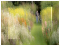 026 Helmingham Hall  ICM of the Walled Garden