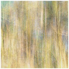 015 Ipswich Park and House  ICM