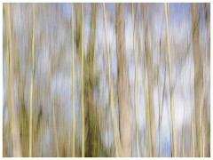 016 Ipswich Park and House  ICM