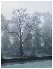 001 Scotland Glen Affric Area  Cnoc Hotel Early Morning