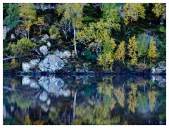 002 Scotland Glen Affric Area  Reflections