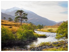011 Scotland Glen Affric Area  River, Mountains and Trees