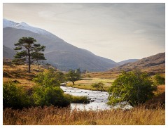 012 Scotland Glen Affric Area  River, Mountains and Trees