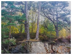 034 Scotland Glen Affric Area  The Dam Area