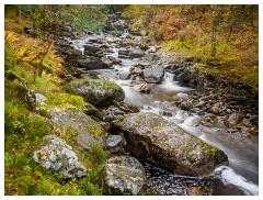 045 Scotland Glen Affric Area  Glen Affric