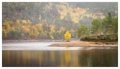 046 Scotland Glen Affric Area  Glen Affric