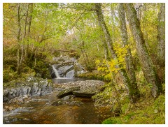 107 Scotland Glen Affric Area  Small Waterfall