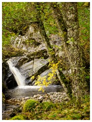 109 Scotland Glen Affric Area  Small Waterfall