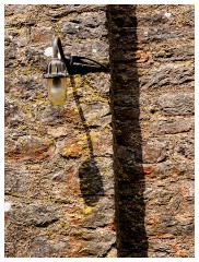 029 South Devon  The Castle Grounds