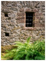 030 South Devon  The Castle Grounds