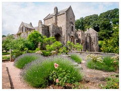 035 South Devon  The Gardens