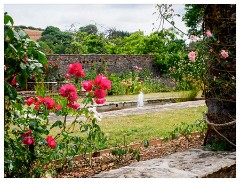 037 South Devon  The Gardens