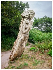 056 South Devon  Overlooking the Steps and the Bay