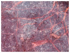 058 South Devon  Variety of rock colours