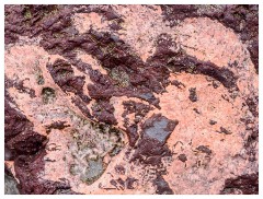 061 South Devon  Variety of rock colours