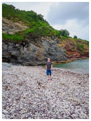 068 South Devon  Roland