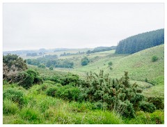 009 South Devon  Looking towards Two Bridges