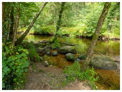 116 South Devon  Fingle Bridge