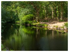 117 South Devon  Fingle Bridge