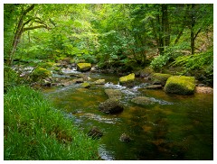 120 South Devon  Fingle Bridge