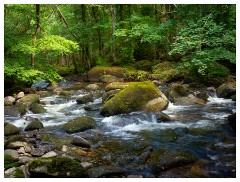 122 South Devon  Fingle Bridge