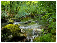 123 South Devon  Fingle Bridge