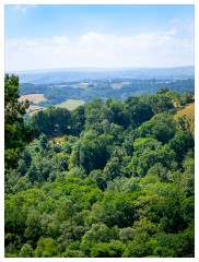 137 South Devon  Another View from the Castle