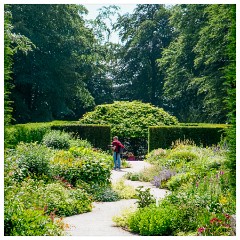 143 South Devon  Castle Drogo Gardens