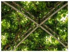 144 South Devon  Castle Drogo Gardens