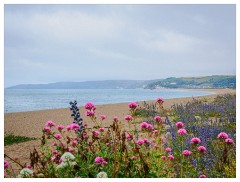082 South Devon  Strete Gate Beach