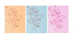 018 Yorkshire Meadows  Water Droplets on Grass