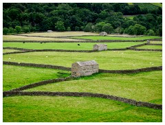 040 Yorkshire Meadows  Views of Yorkshire
