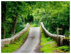 041 Yorkshire Meadows  Views of Yorkshire