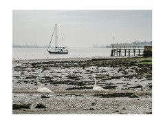 007 Essex and Sufolk  Manningtree