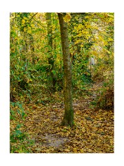 017 Essex and Sufolk  Wrabness