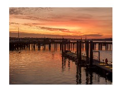 Essex and Suffolk - November