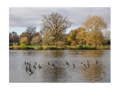 030 Essex and Sufolk  Hatfield Forest