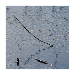 016 Flatford, Suffolk  Lonely Stick