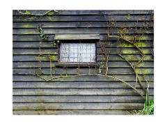 024 Flatford, Suffolk  Flatford Mill