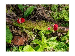 008 Maddingley Hall, Cambridge