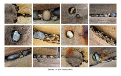 005 Norfolk  Stones in the Breakwaters Overstrand