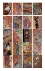 007 Norfolk  Rust on the Breakwater Overstrand