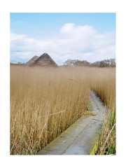 030 Norfolk  Horsey Mill Area