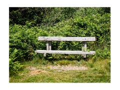 094 Suffolk Day 5  Dunwich Heath