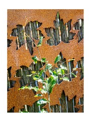 109 Suffolk Day 5  Amberside Sculpturer