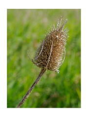 062 Suffolk Day 3  Hickling Broad